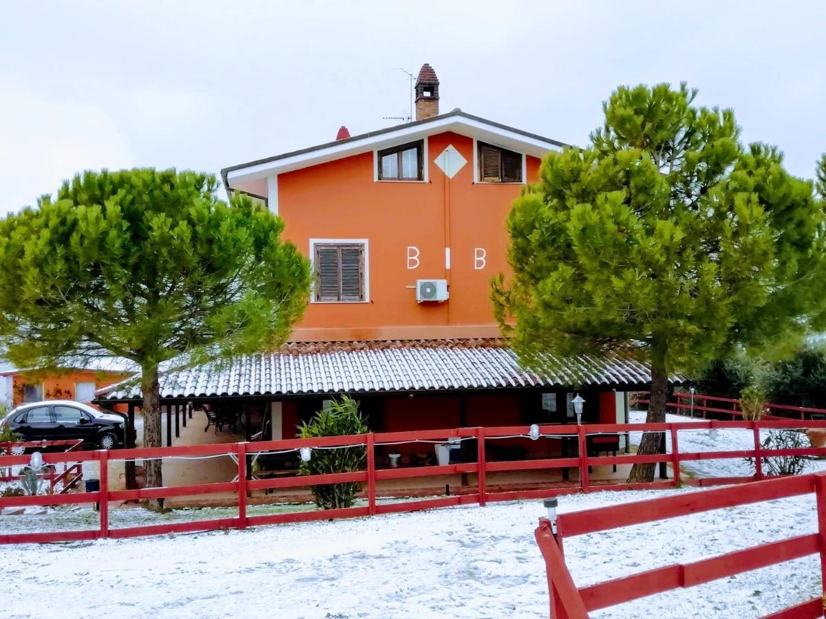 B&B Gli Amici Del Tubarello Roseto Degli Abruzzi Exterior photo
