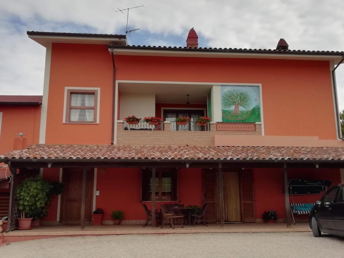 B&B Gli Amici Del Tubarello Roseto Degli Abruzzi Exterior photo
