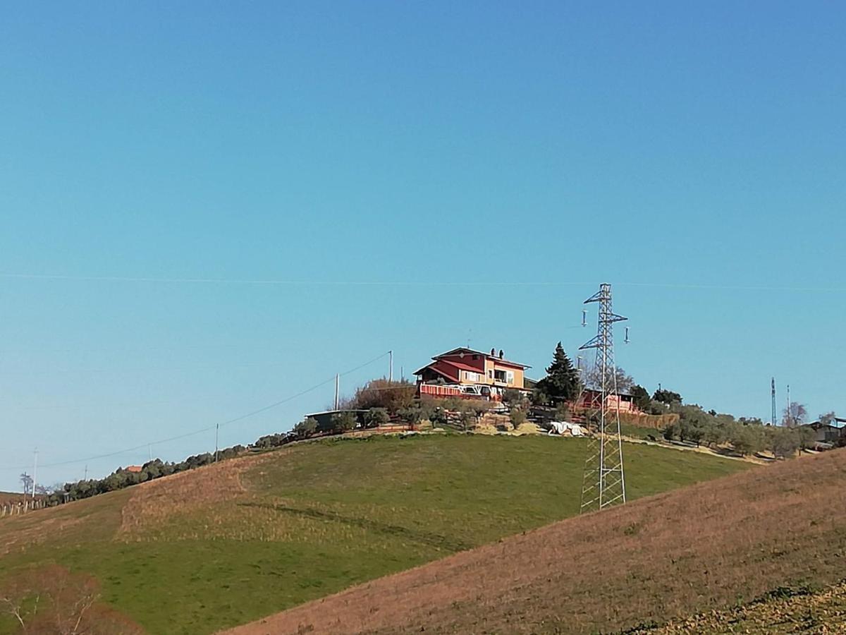 B&B Gli Amici Del Tubarello Roseto Degli Abruzzi Exterior photo