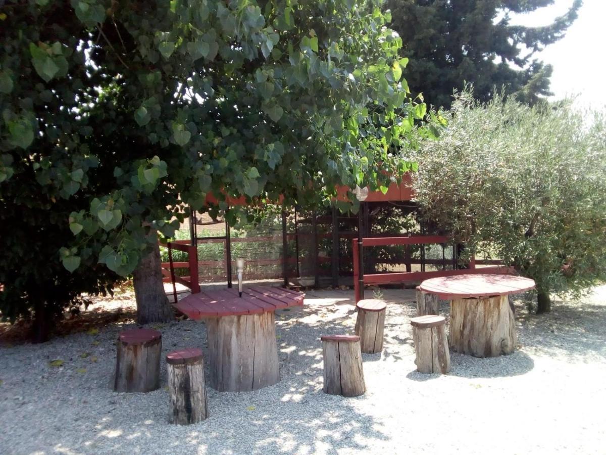 B&B Gli Amici Del Tubarello Roseto Degli Abruzzi Exterior photo