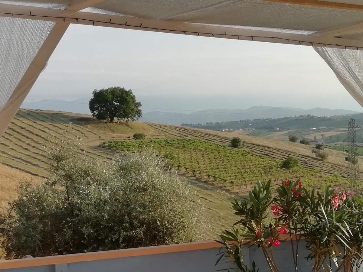 B&B Gli Amici Del Tubarello Roseto Degli Abruzzi Exterior photo