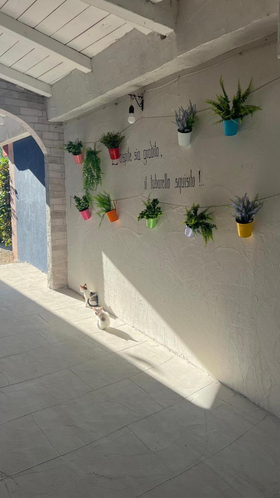 B&B Gli Amici Del Tubarello Roseto Degli Abruzzi Exterior photo